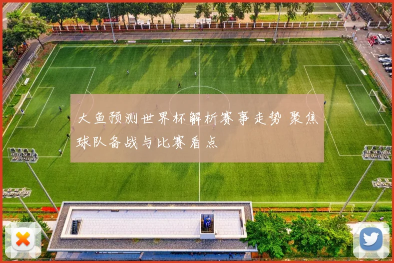 大鱼预测世界杯解析赛事走势 聚焦球队备战与比赛看点